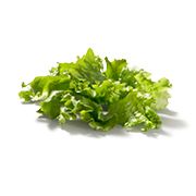 in SeasonalLettuce 180